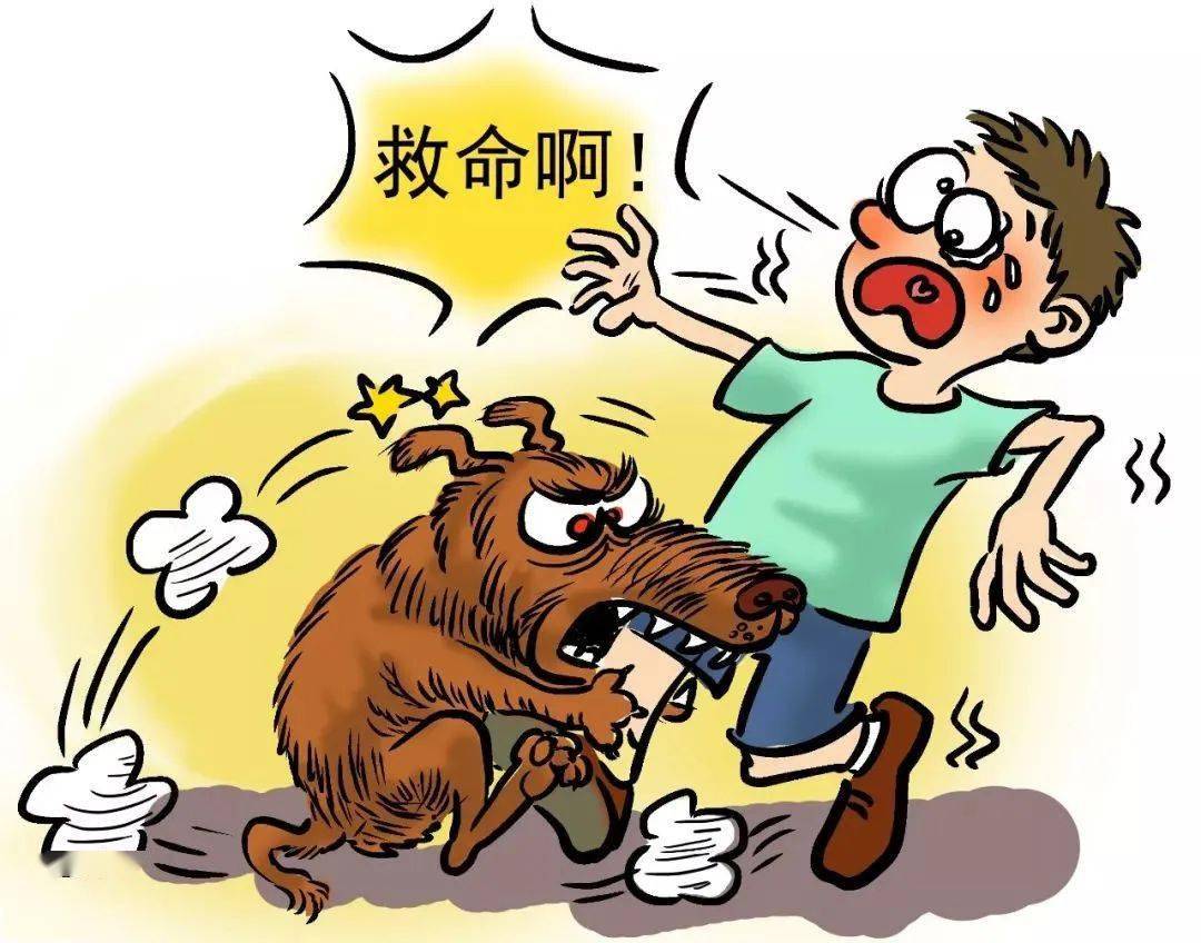 @所有人：夏季犬伤高发谨防感染狂犬病！PG电子 PG电子平台