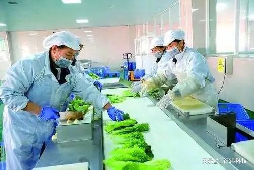 PG电子预制菜净菜加工流水线的实用性解析(图3)