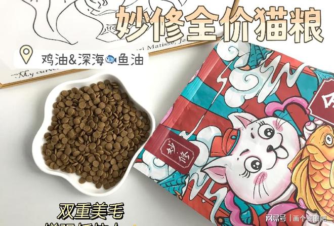 给猫咪“美毛”用这些办法准没错让它漂漂亮亮的！PG电子(图6)