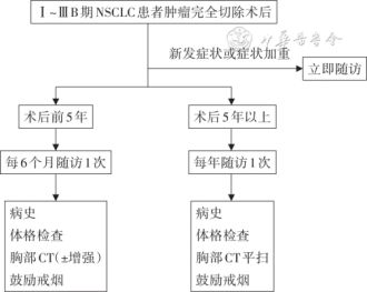 通过《Ⅰ~ⅢB期NSCLC完全切除术后辅助治疗指南（2021版）》——看规范化肺癌术后患者管理